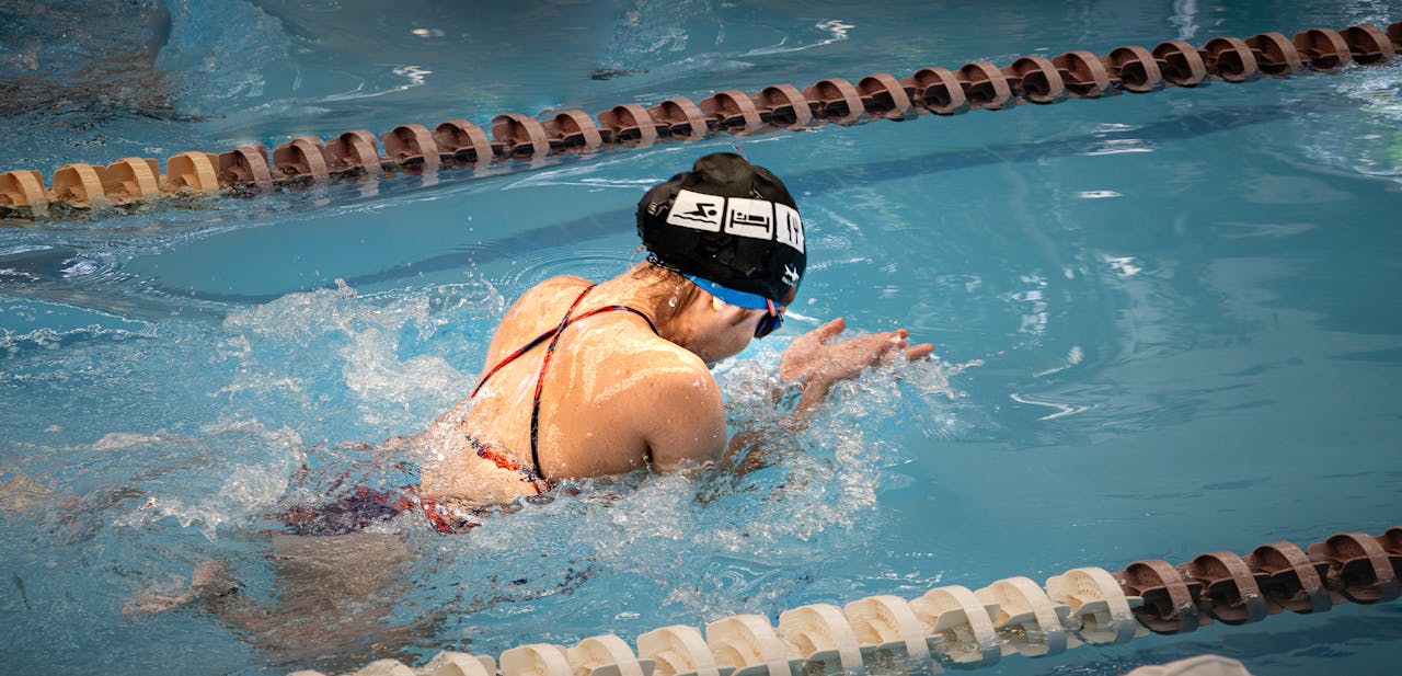 pexels photo 36755656.jpeg